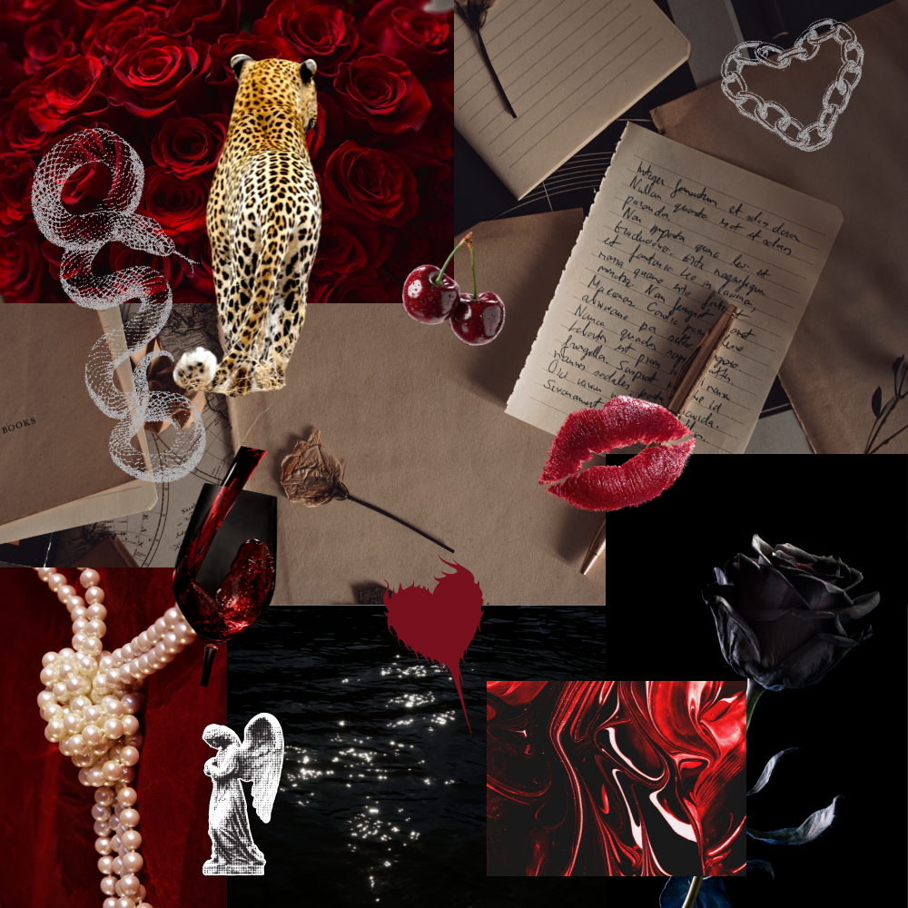 Drop’d Directions | Dark Romance Deposit