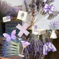 Drop’d Directions | Lavender Dreams Deposit